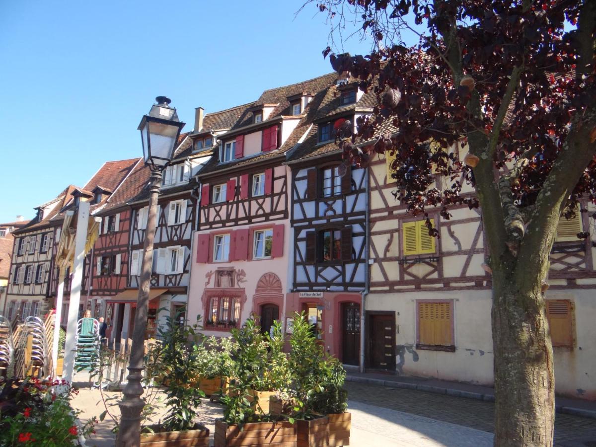Au Coeur Des Vignes Apartment Bergheim Exterior photo